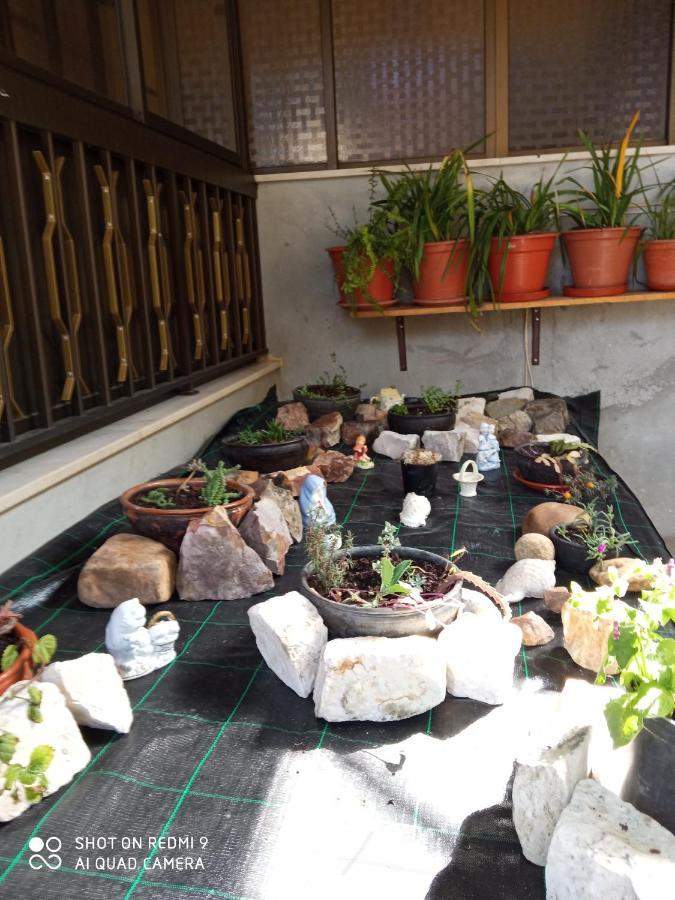 Casa Dos Grilos Пенакова Екстериор снимка