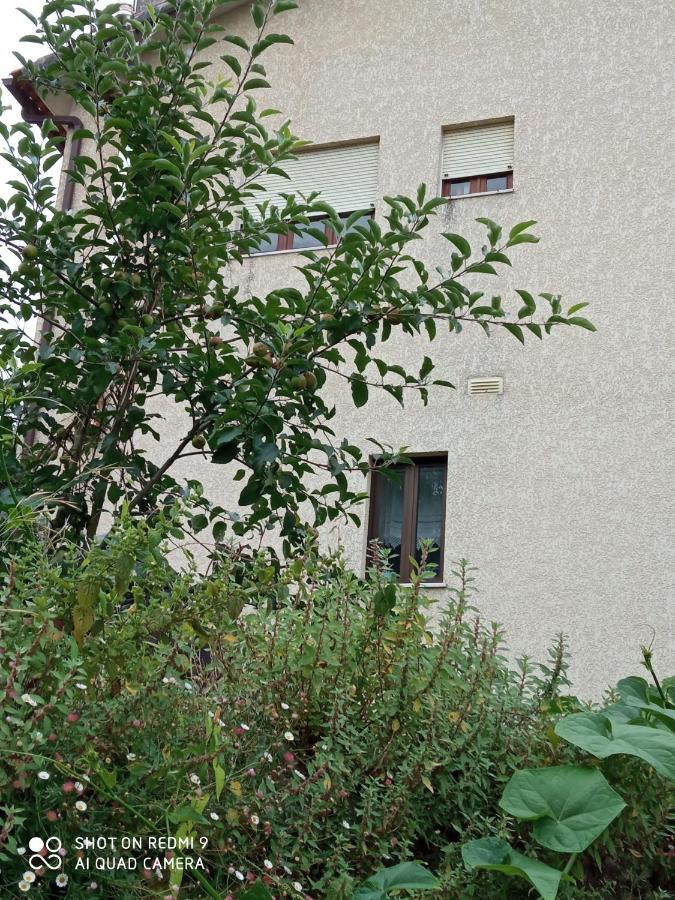 Casa Dos Grilos Пенакова Екстериор снимка